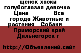 щенок хаски  голубоглазая девочка › Цена ­ 12 000 - Все города Животные и растения » Собаки   . Приморский край,Дальнегорск г.